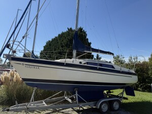 IMG_3408