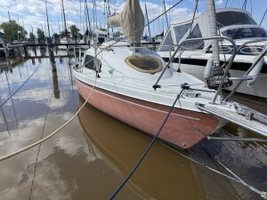 IMG_6628