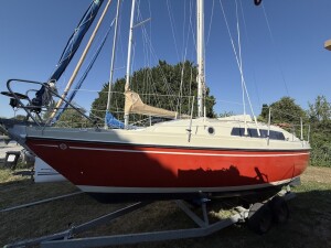 IMG_7419